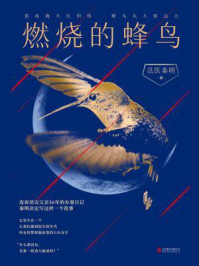 燃烧的蜂鸟时空追凶1990免费阅读